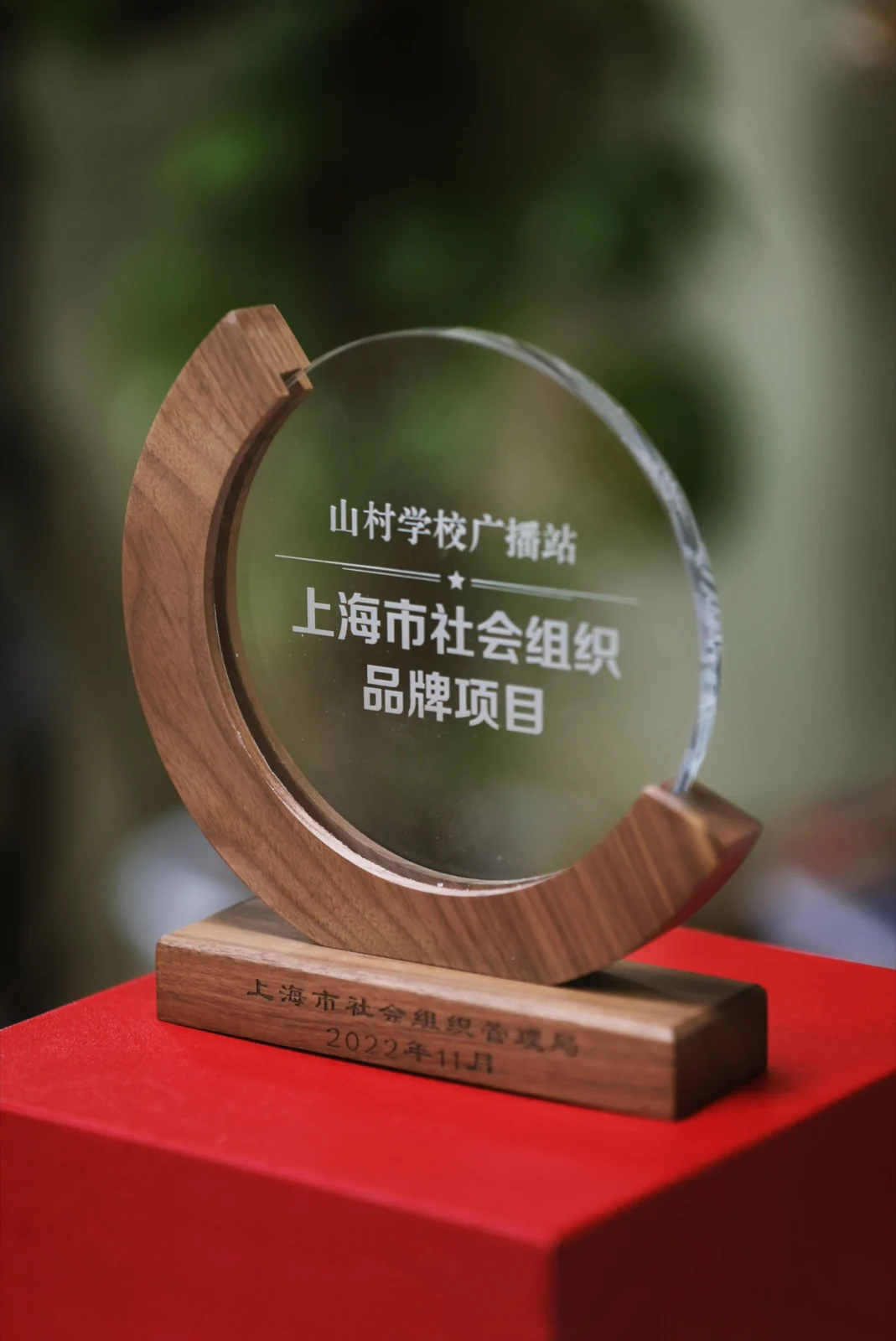 上海市社会组织品牌项目