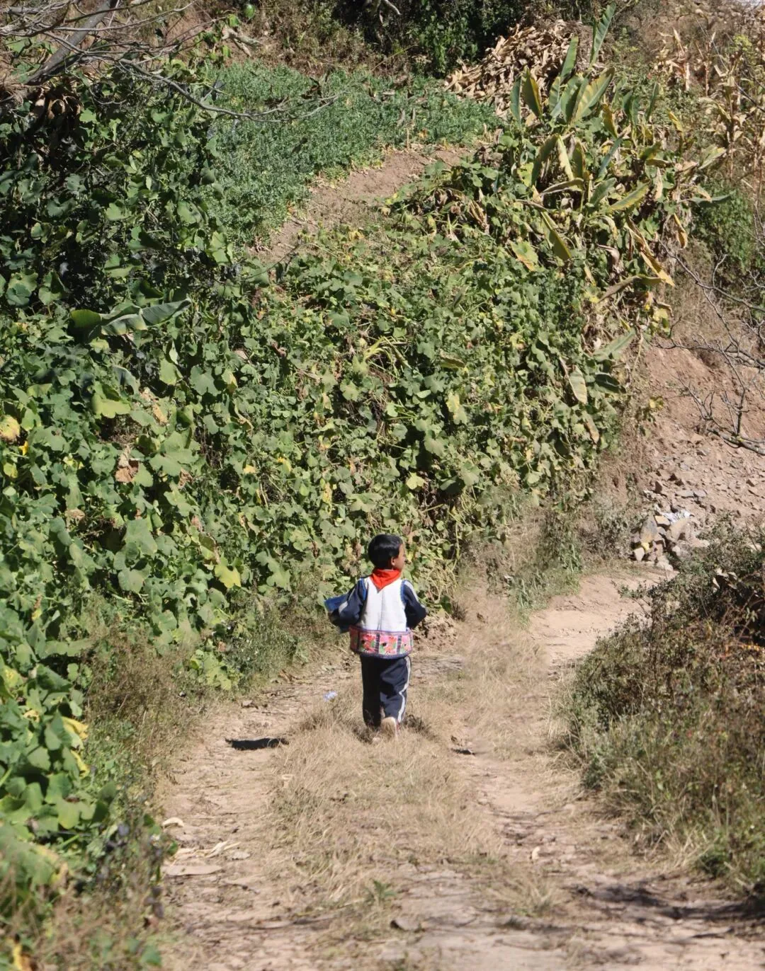 听见梦想 | 大山深处楚雄南华五街完小“山村学校广播站”开播了项目记录图片
